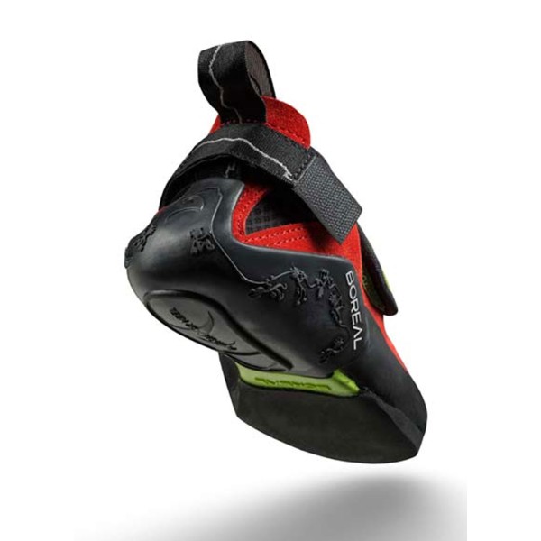 PIE DE GATO BOREAL NINJA JR