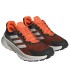 ZAPATILLA ADIDAS TERREX SOULSTRIDE FLOW
