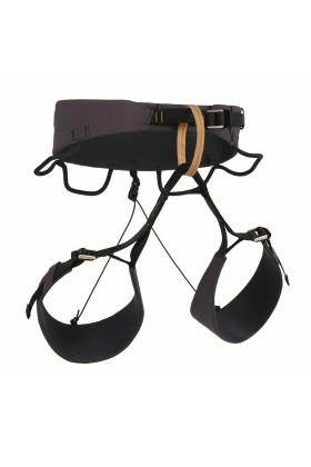 ARNES BLUE CUESTA ADJ India