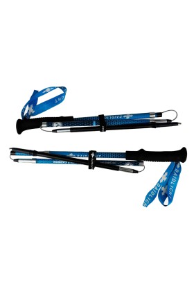 BASTONES RAIDLIGHT COMPACT Z CARBON