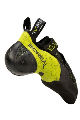 PIE DE GATO BOREAL INDO