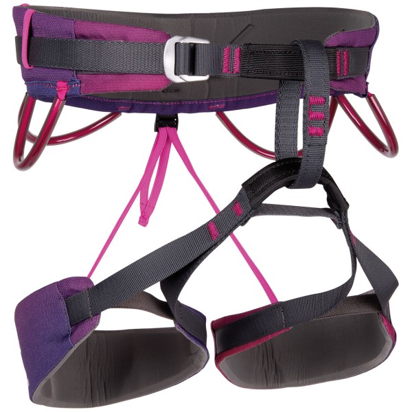 ARNES CAMP ENERGY JANJA