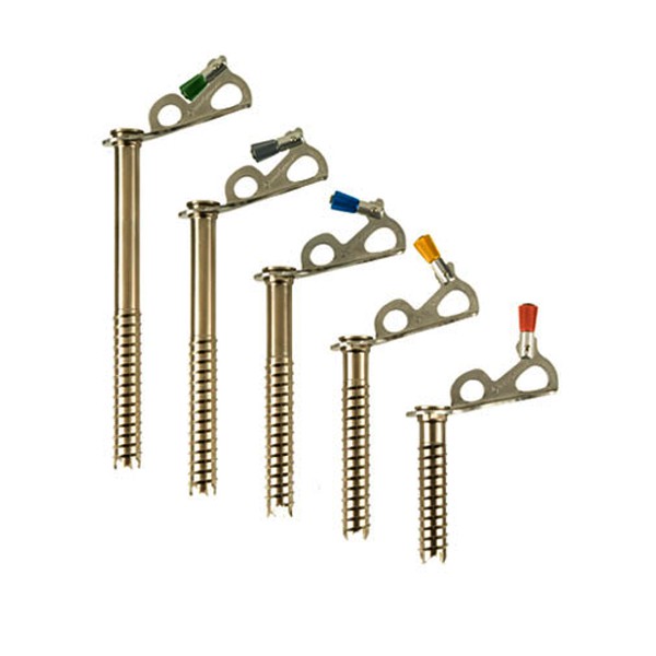 TORNILLO BLACK DIAMOND EXPRESS ICE SCREW 16 CM